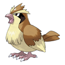 pidgey