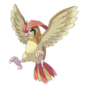 pidgeotto