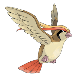 pidgeot