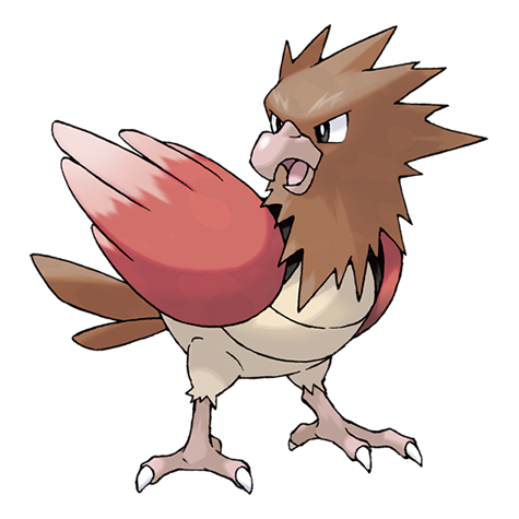 Spearow